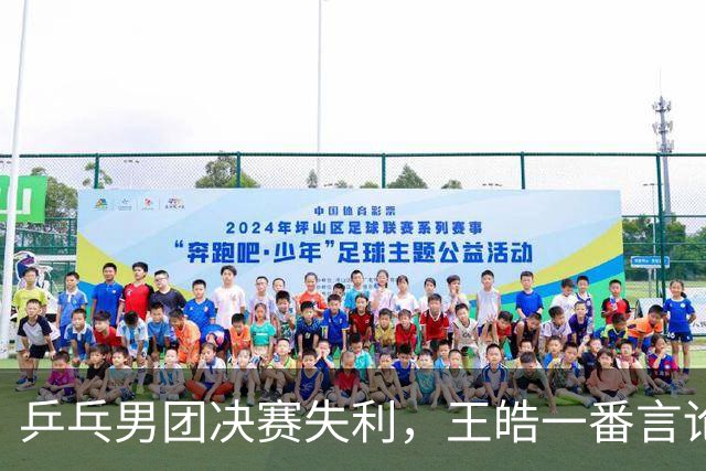 乒乓男团决赛失利，王皓一番言论令人心痛不已