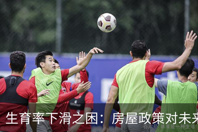 生育率下滑之困：房屋政策对未来的深远影响